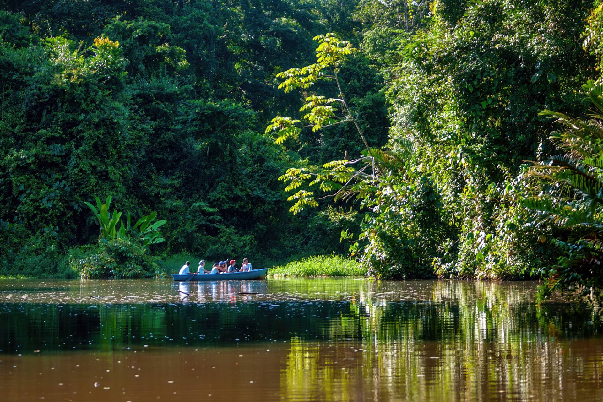 Bootsfahrt im NP Tortuguero